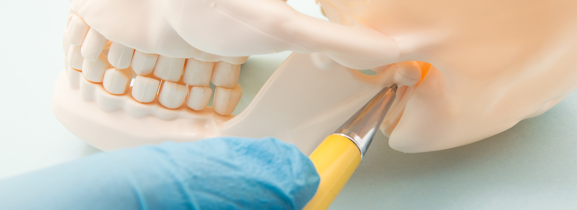 An image depicting a person s hand holding a yellow instrument over a 3D printed skull with teeth, while another hand is using a blue substance to manipulate the skull. The background is white and nondescript.